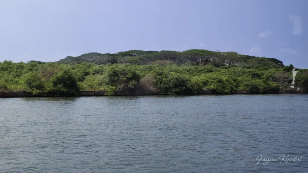 kandal forest island marine drive
