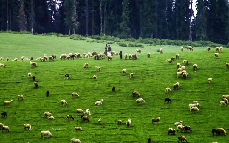 kashmir history and current issues