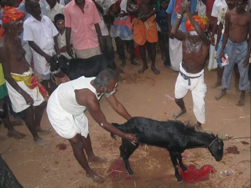 Ancient Human Animal Sacrifices