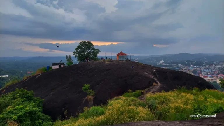 Chuttippara pathanamthitta
