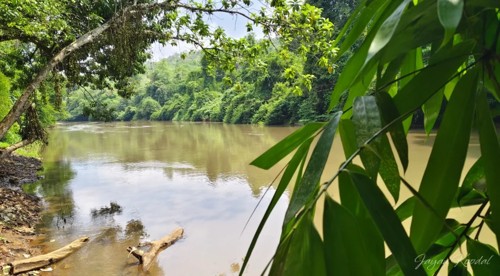 achankovil river konni kalleli