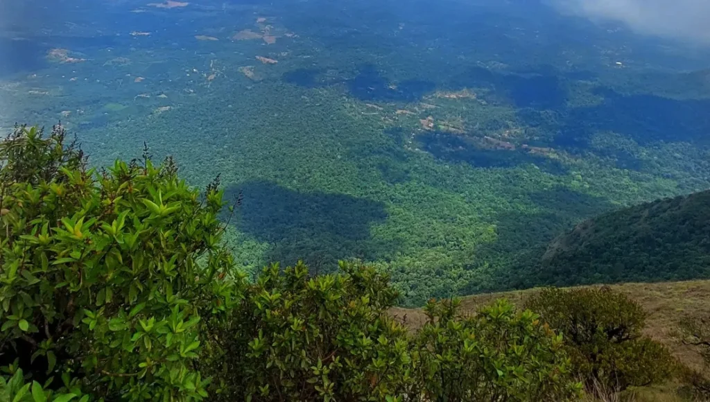 Kudajadri valleys