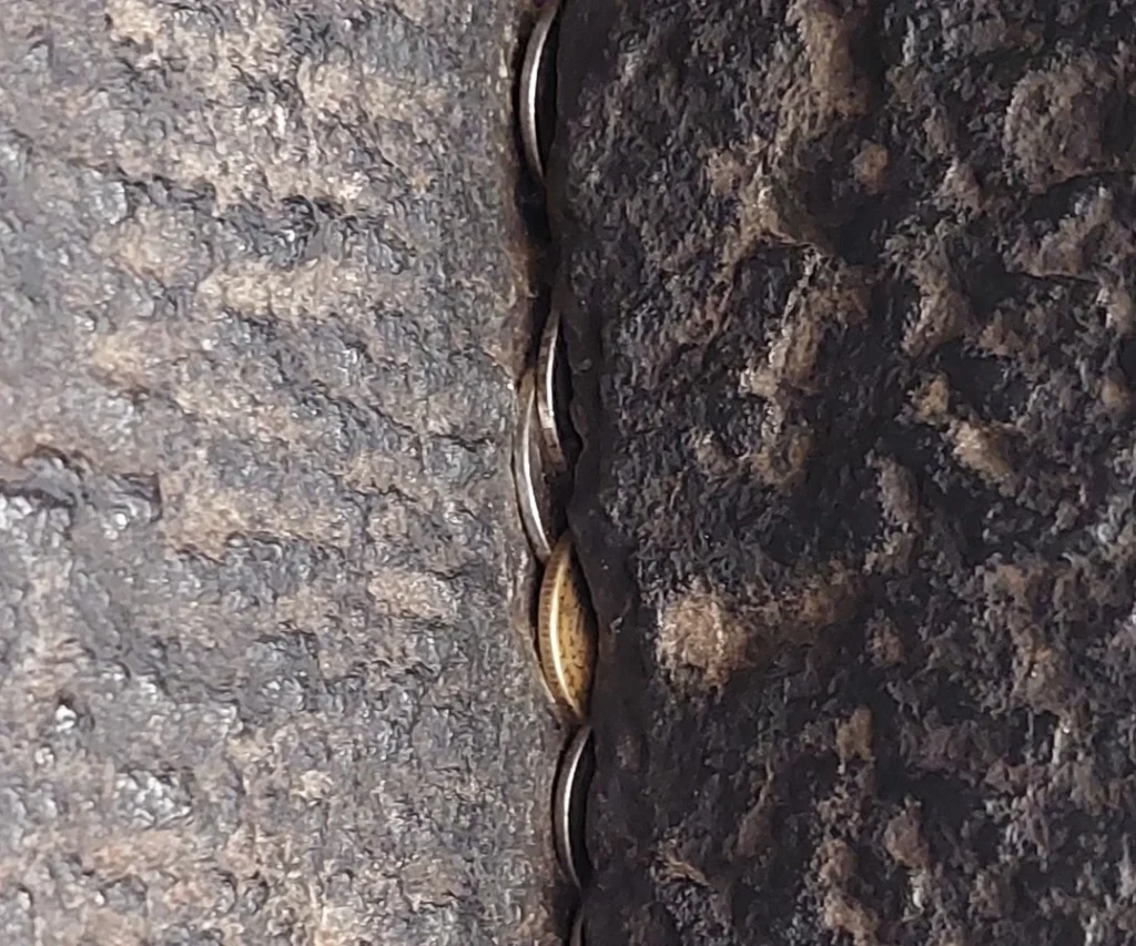 Kollur Mookambika Temple Traditions