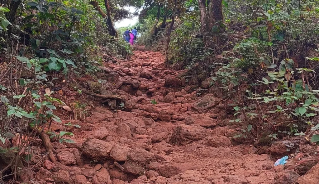 kudajadri trekking heights